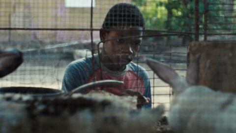 FarEye Brings a Powerful Caribbean Story of Spiritual Awakening and Resilience to HollyShorts